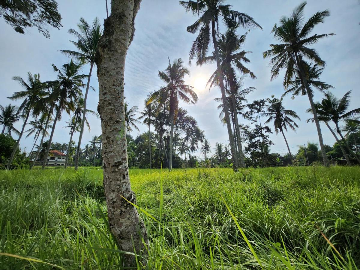Casa Idea Ubud Buitenkant foto